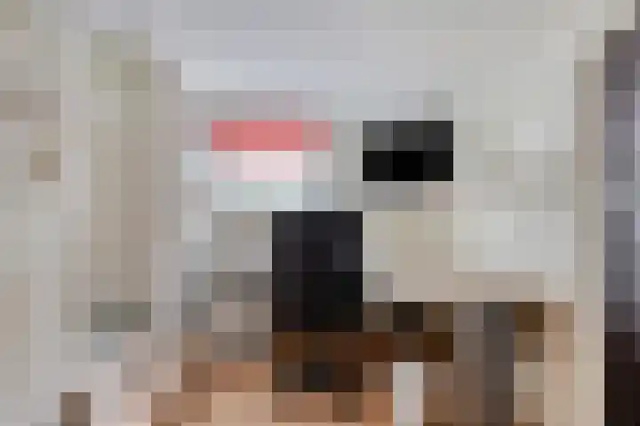 Schippersweg 26 Nieuwdorp thumbnail 17