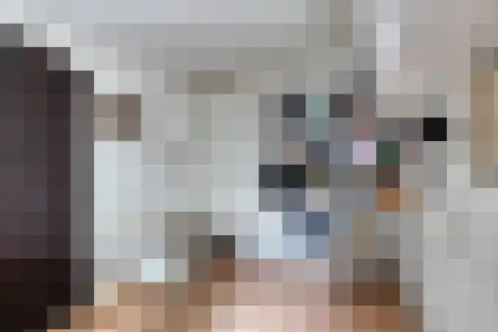 Schippersweg 26 Nieuwdorp thumbnail 18