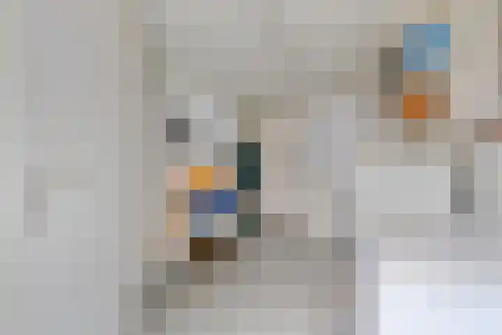 Schippersweg 26 Nieuwdorp thumbnail 19