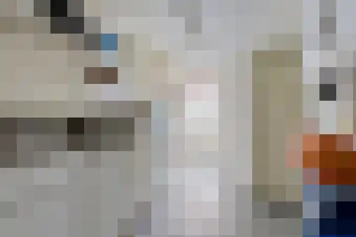 Schippersweg 26 Nieuwdorp thumbnail 20