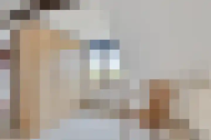 Schippersweg 26 Nieuwdorp thumbnail 25