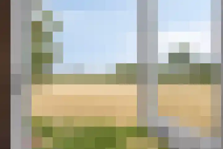 Schippersweg 26 Nieuwdorp thumbnail 31