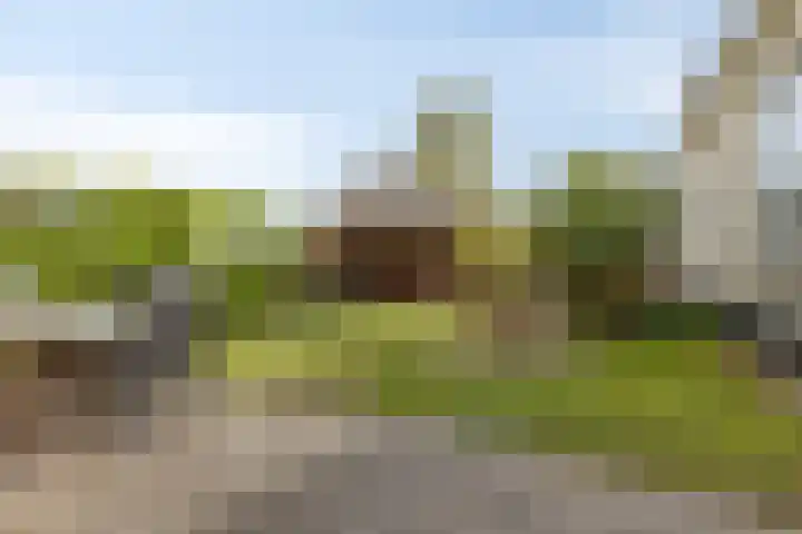 Schippersweg 26 Nieuwdorp thumbnail 32