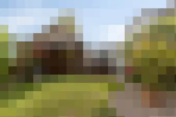 Schippersweg 26 Nieuwdorp thumbnail 33