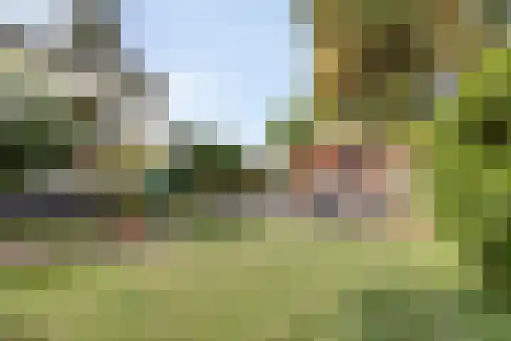Schippersweg 26 Nieuwdorp thumbnail 34