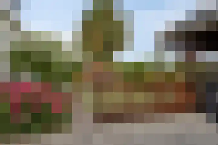Schippersweg 26 Nieuwdorp thumbnail 36