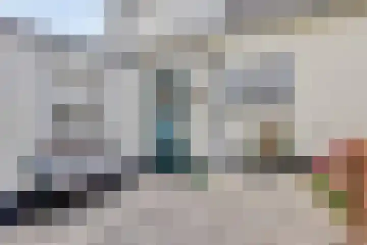 Schippersweg 26 Nieuwdorp thumbnail 37