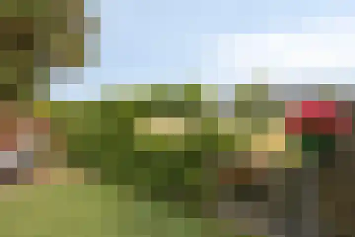 Schippersweg 26 Nieuwdorp thumbnail 38