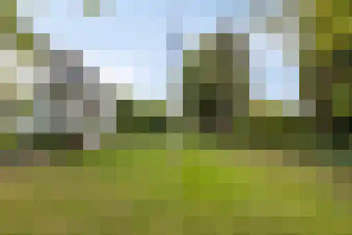 Schippersweg 26 Nieuwdorp thumbnail 39