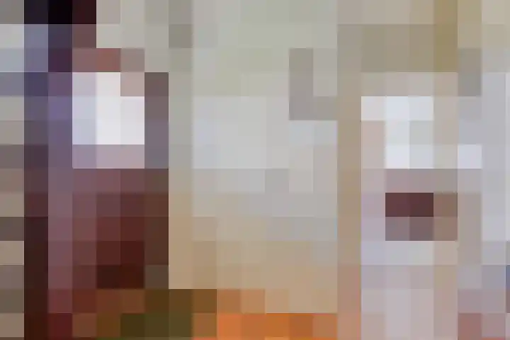 Schippersweg 26 Nieuwdorp thumbnail 4