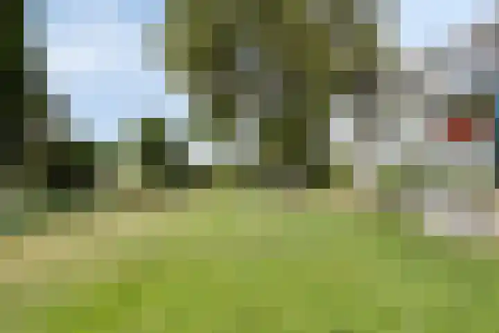 Schippersweg 26 Nieuwdorp thumbnail 40