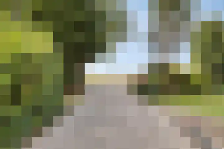Schippersweg 26 Nieuwdorp thumbnail 41