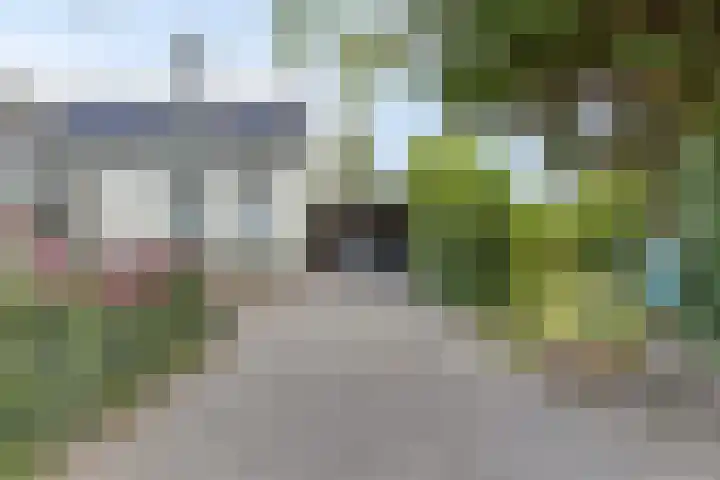 Schippersweg 26 Nieuwdorp thumbnail 42