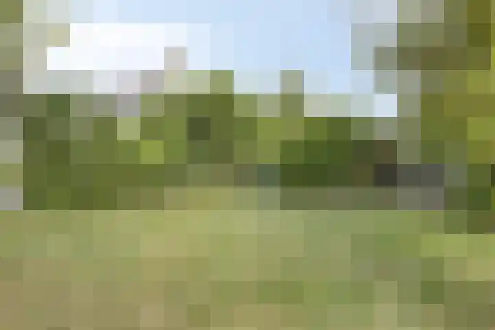 Schippersweg 26 Nieuwdorp thumbnail 43