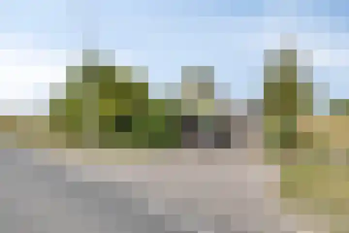Schippersweg 26 Nieuwdorp thumbnail 45