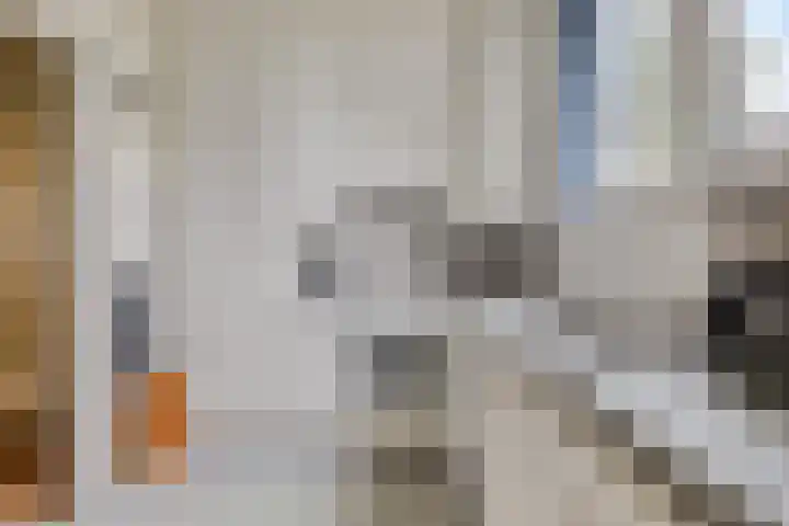 Schippersweg 26 Nieuwdorp thumbnail 6