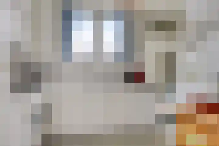 Schippersweg 26 Nieuwdorp thumbnail 7