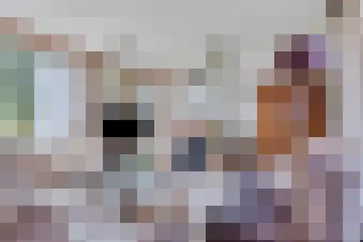 Schippersweg 26 Nieuwdorp thumbnail 9