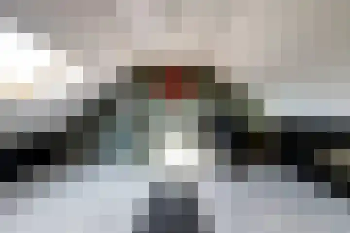 Schipperswegeling 20 Goes thumbnail 20