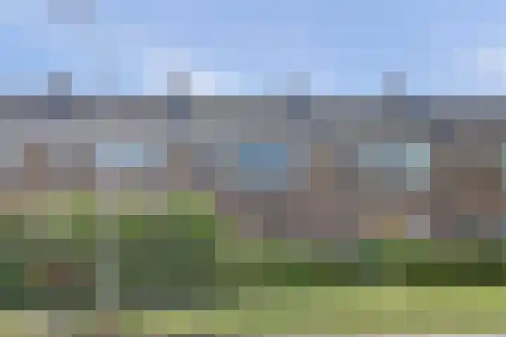 Schipperswegeling 20 Goes thumbnail 30