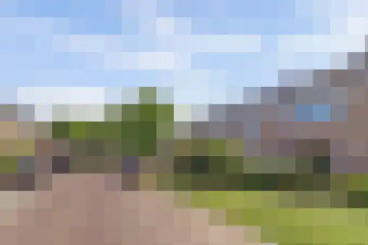 Schipperswegeling 20 Goes thumbnail 32