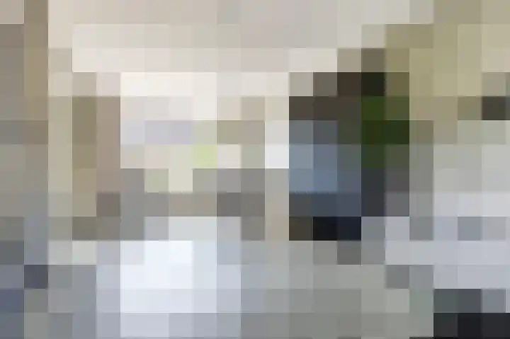 Schipperswegeling 20 Goes thumbnail 6