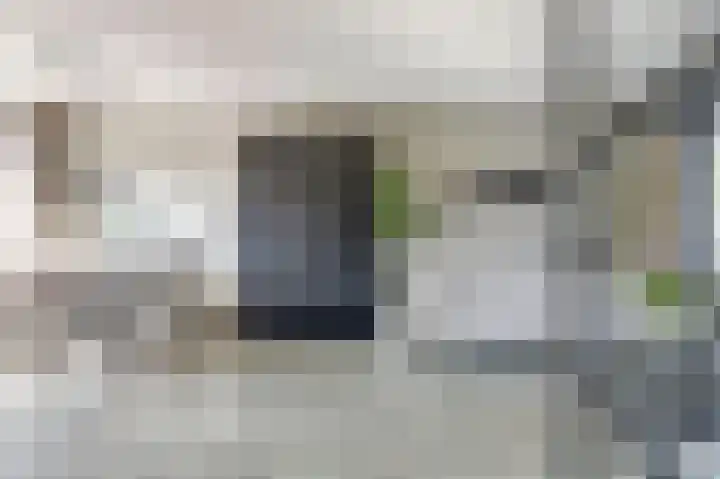 Schipperswegeling 20 Goes thumbnail 7