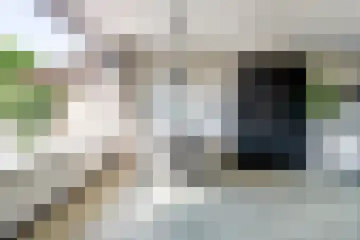 Schipperswegeling 20 Goes thumbnail 9