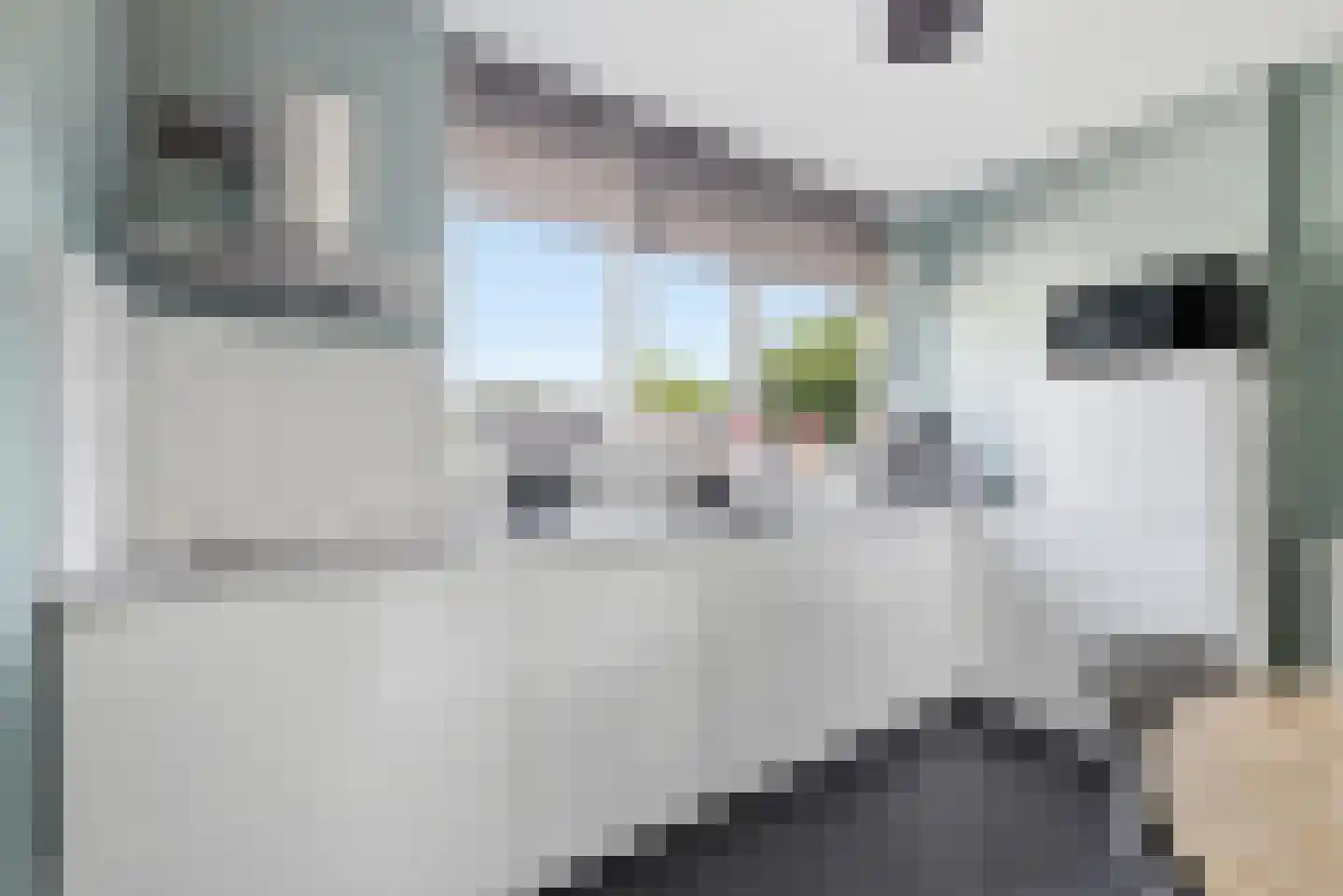 Schipperswegeling 29 Goes thumbnail 18