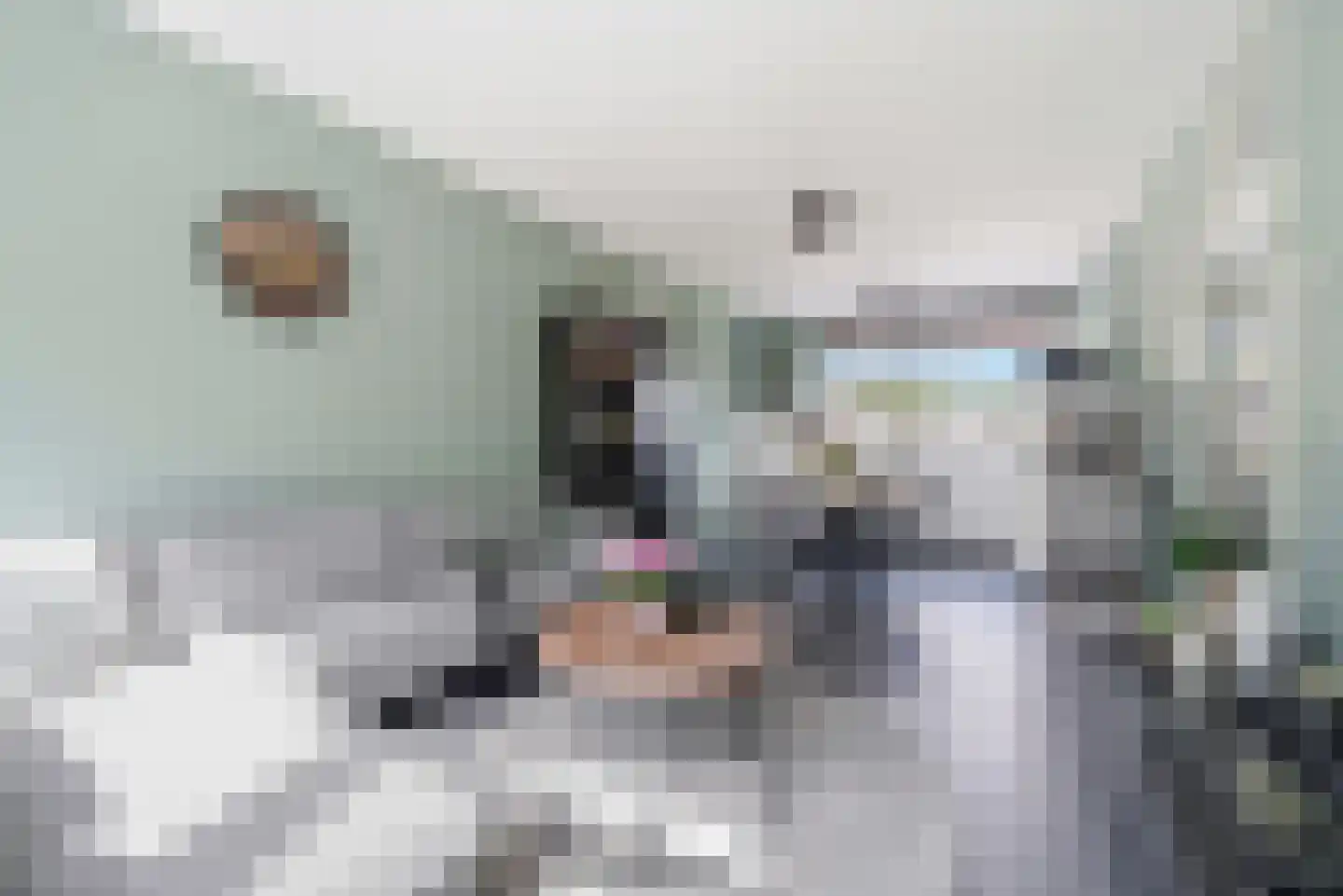 Schipperswegeling 29 Goes thumbnail 7