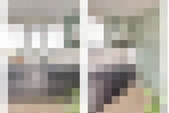 Schipperswegeling 31 Goes thumbnail 14