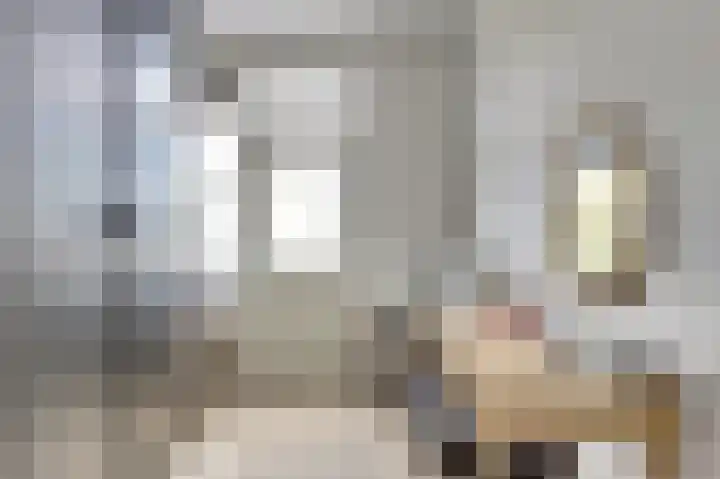 Schipperswegeling 31 Goes thumbnail 16