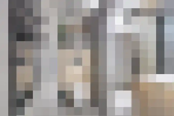 Schipperswegeling 31 Goes thumbnail 17