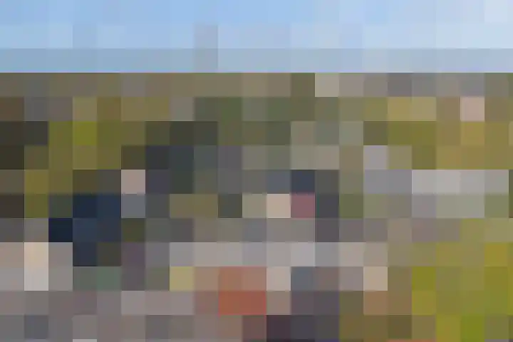 Schipperswegeling 31 Goes thumbnail 24