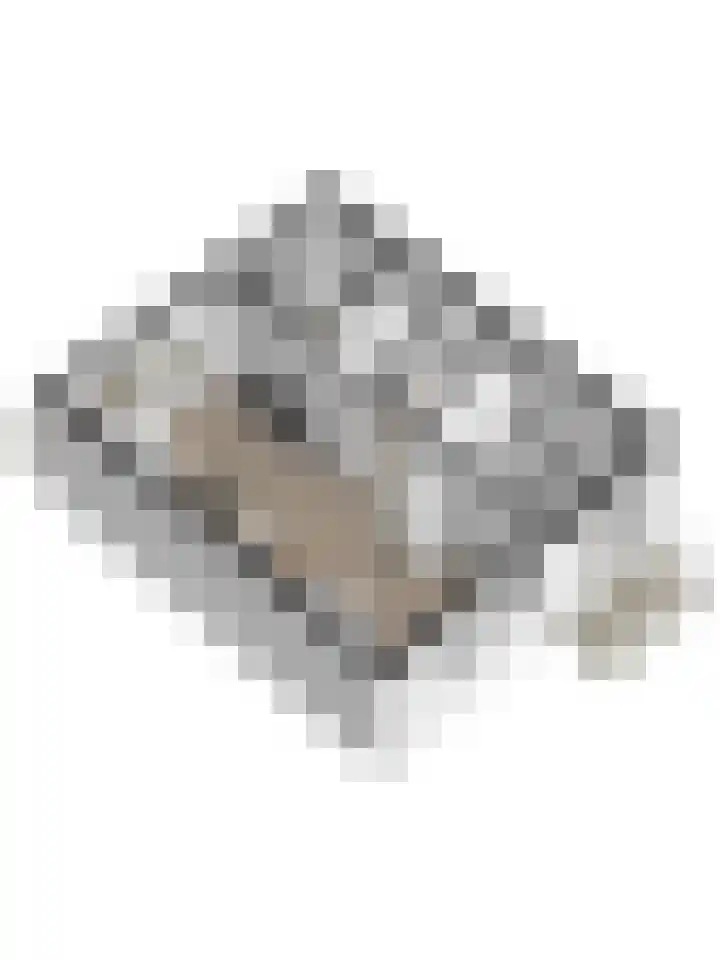 Schipperswegeling 31 Goes thumbnail 30
