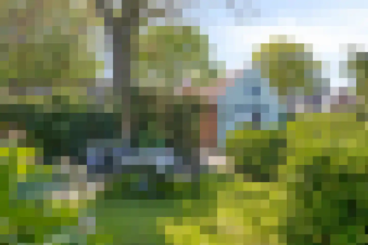 Schipperswijk 16 Oude Pekela thumbnail 32
