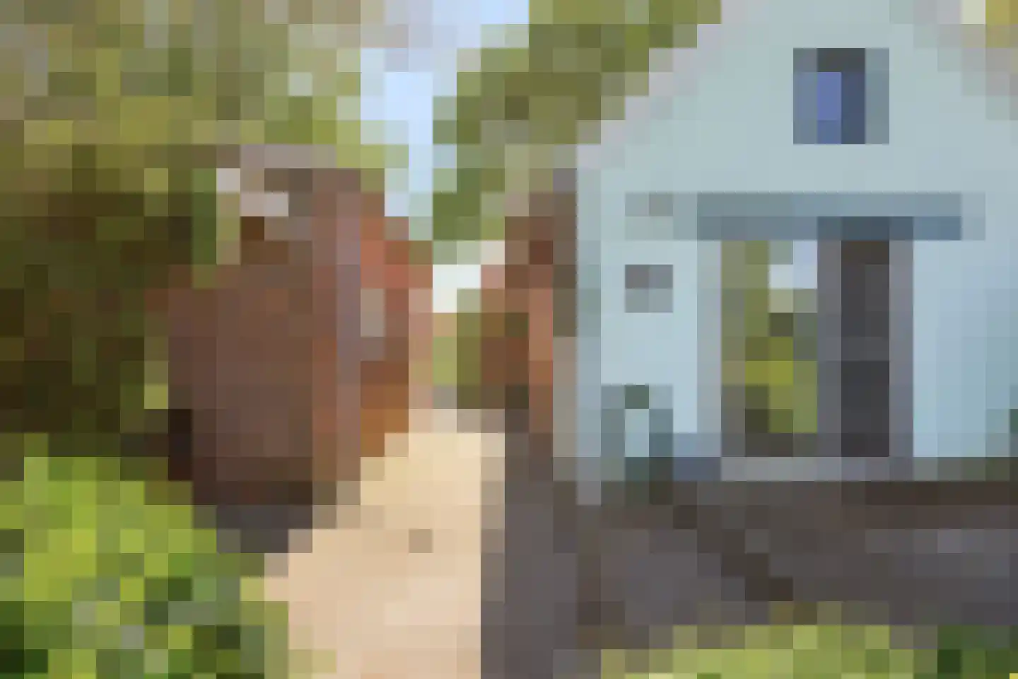 Schipperswijk 16 Oude Pekela thumbnail 34