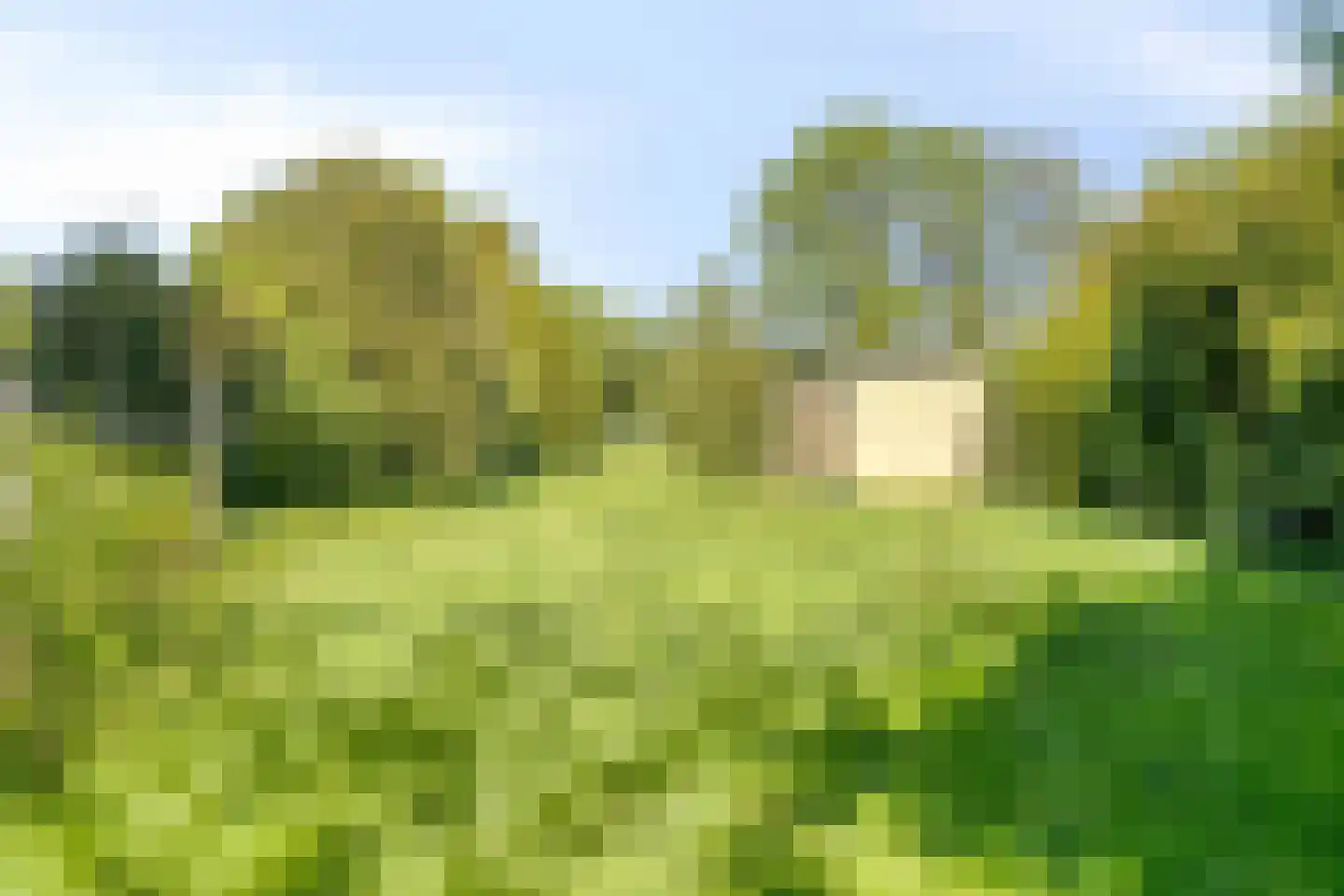 Schipperswijk 16 Oude Pekela thumbnail 36