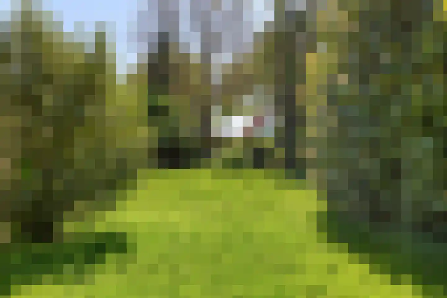 Schipperswijk 16 Oude Pekela thumbnail 40