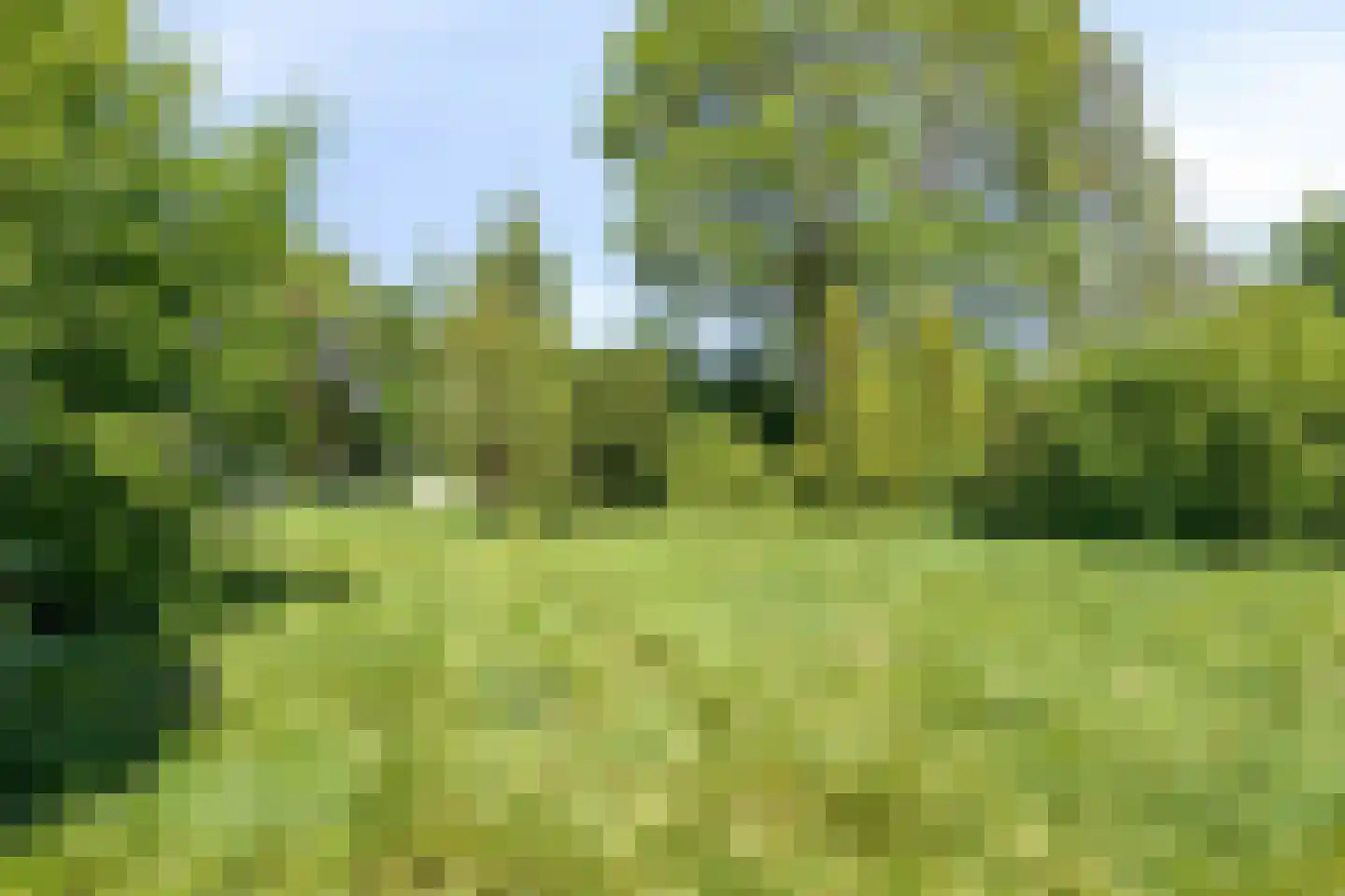 Schipperswijk 16 Oude Pekela thumbnail 41