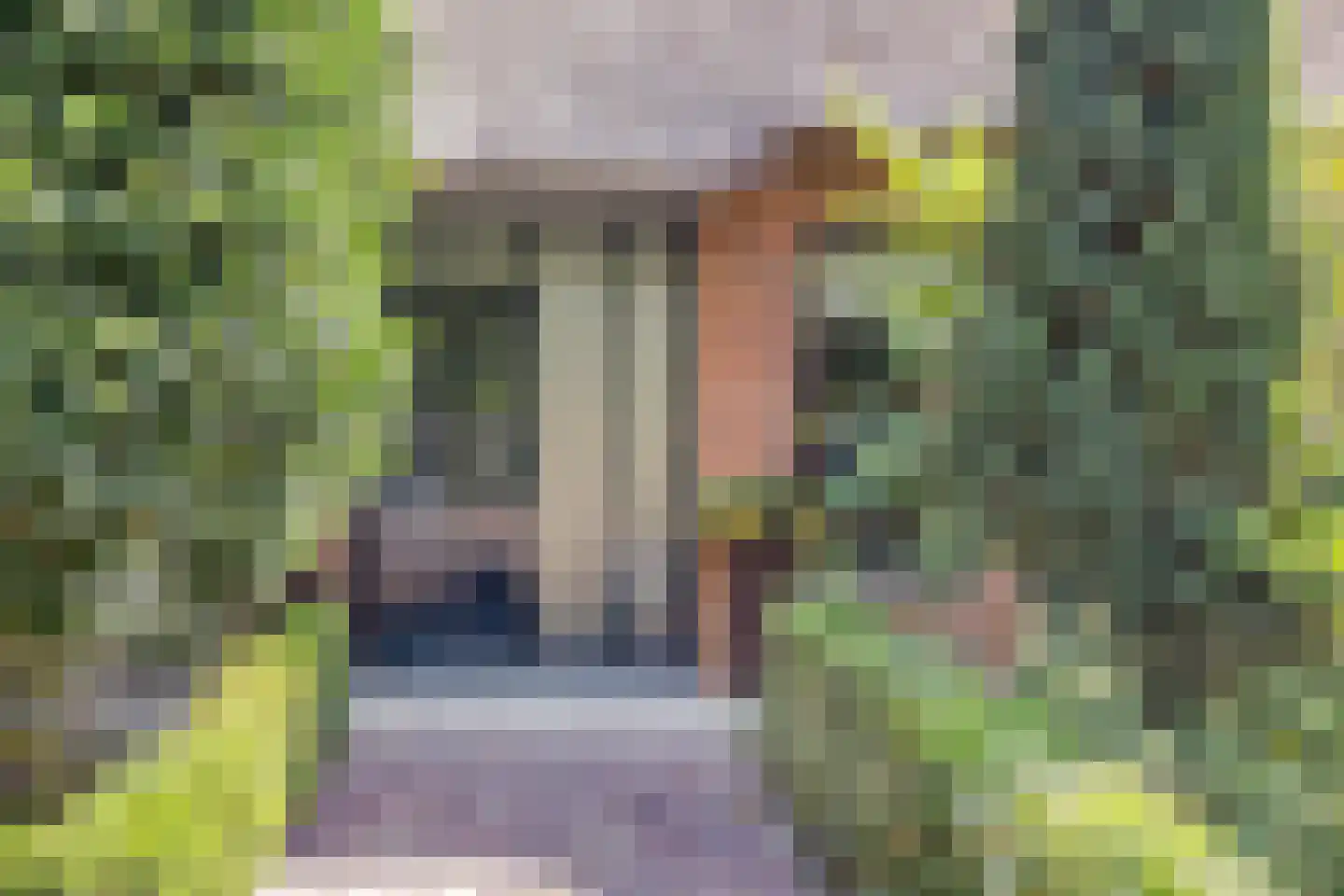 Schipperswijk 34 Oude Pekela thumbnail 11