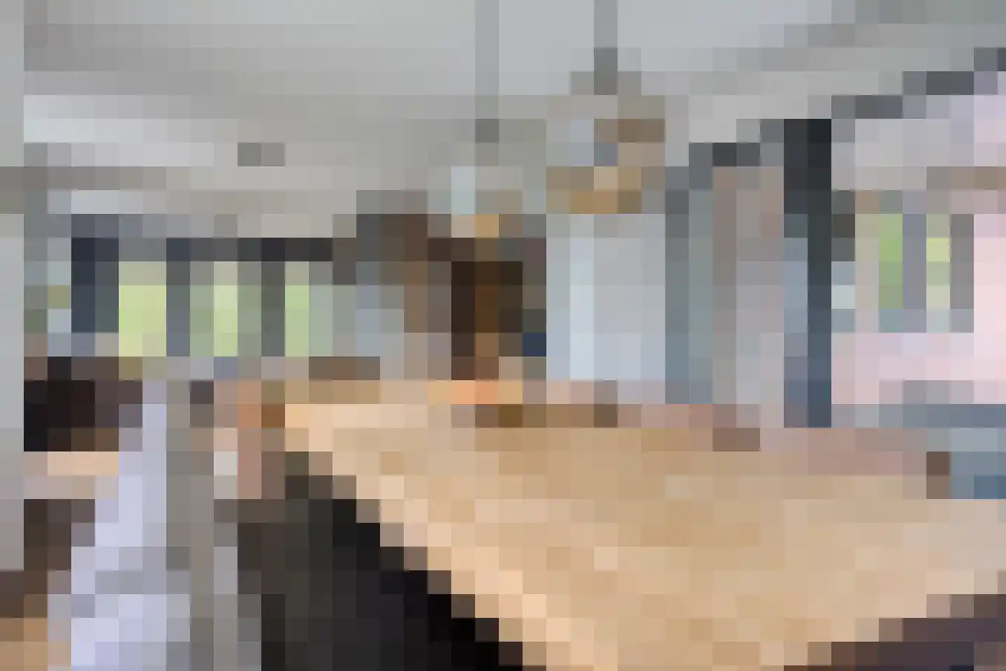 Schipperswijk 34 Oude Pekela thumbnail 23