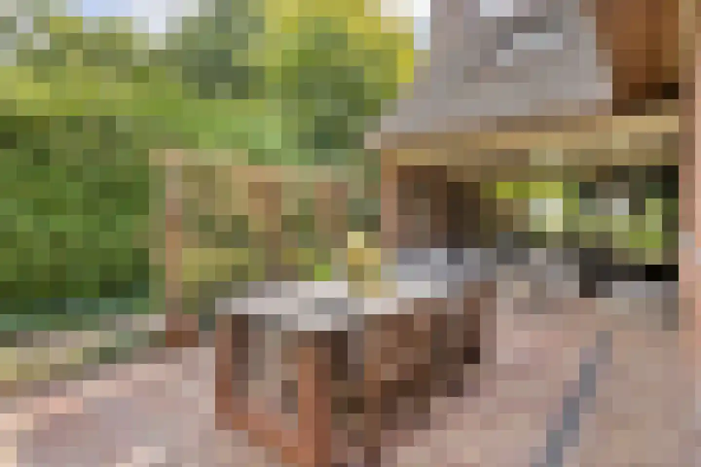 Schipperswijk 34 Oude Pekela thumbnail 33