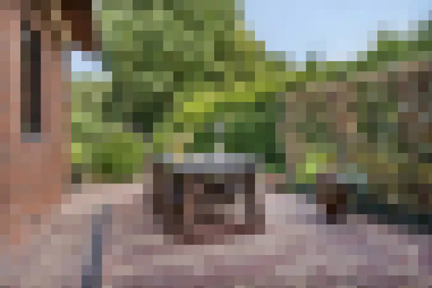 Schipperswijk 34 Oude Pekela thumbnail 34