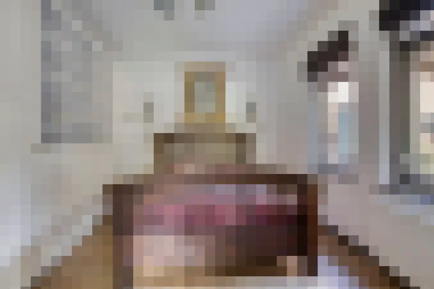 Schipperswijk 34 Oude Pekela thumbnail 37