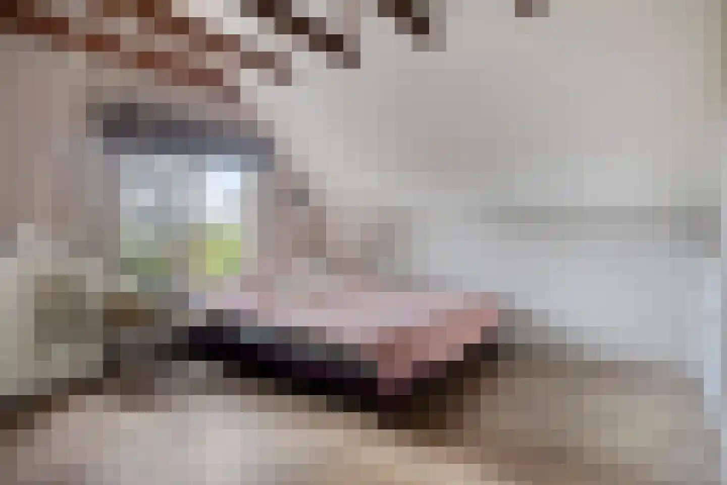 Schipperswijk 34 Oude Pekela thumbnail 44