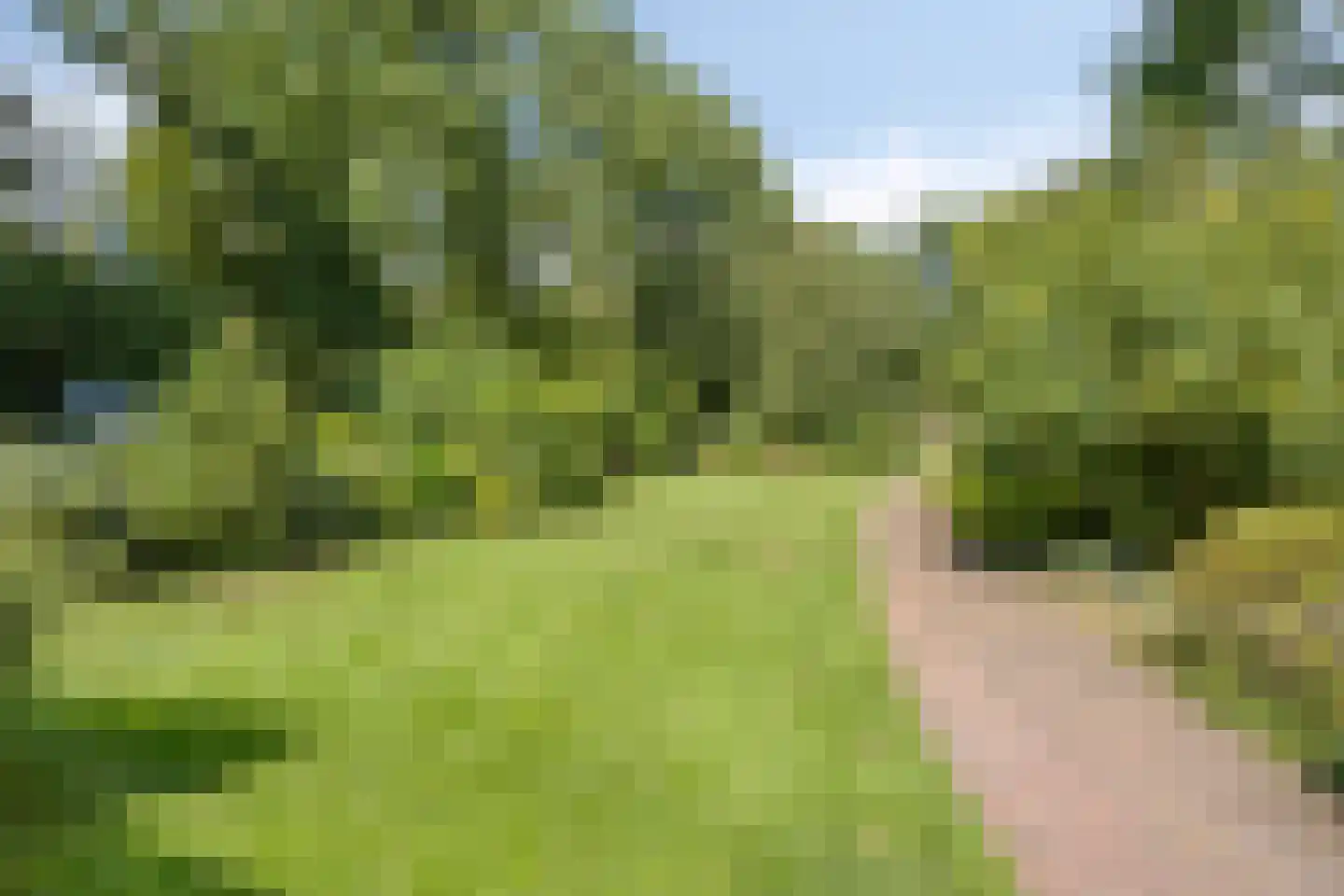 Schipperswijk 34 Oude Pekela thumbnail 62