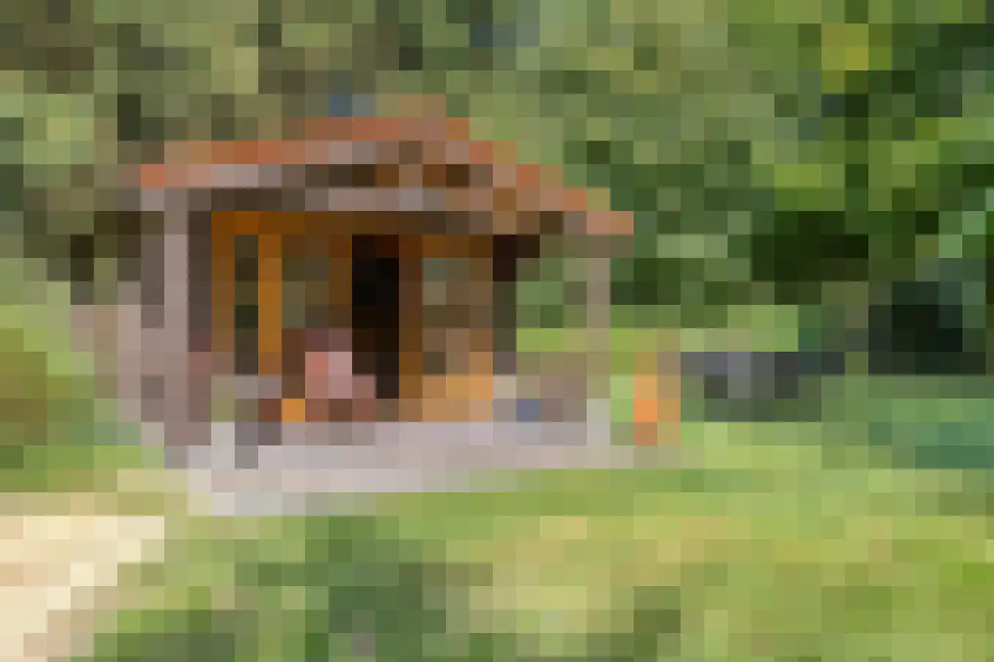 Schipperswijk 34 Oude Pekela thumbnail 66