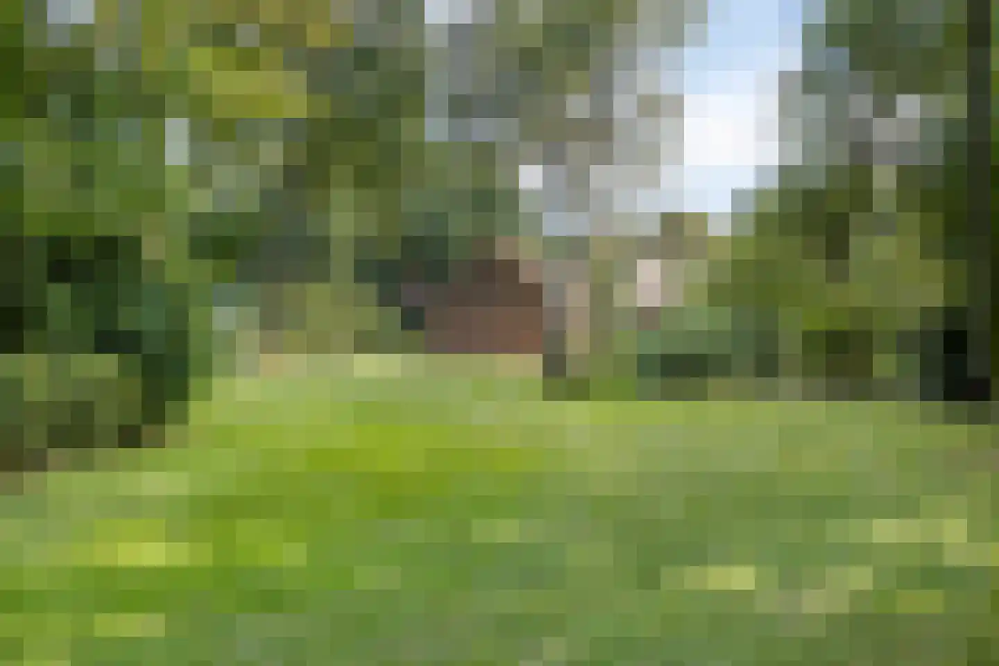 Schipperswijk 34 Oude Pekela thumbnail 72