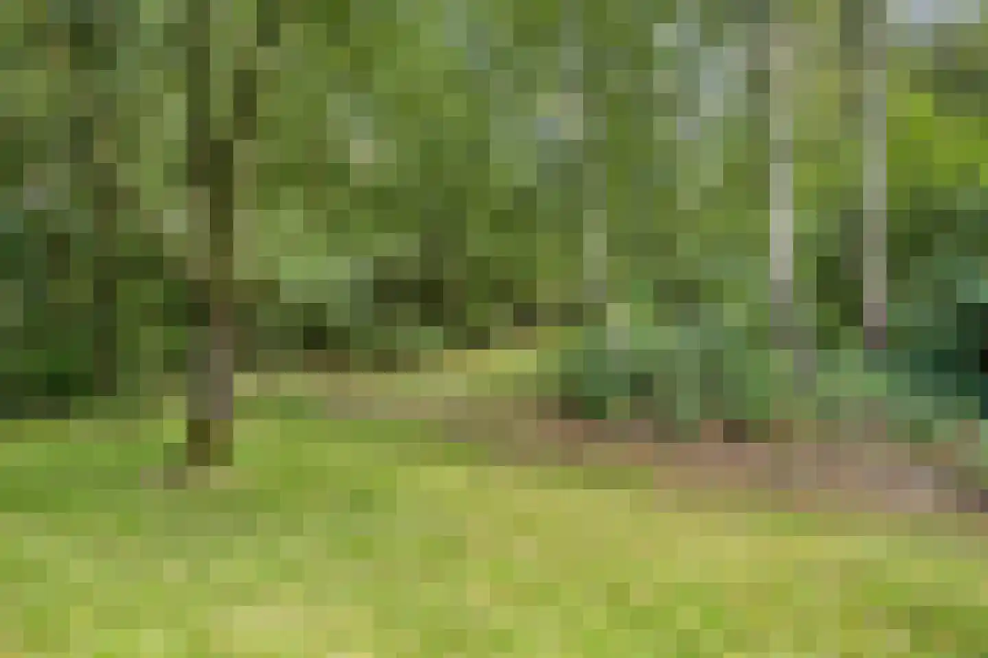 Schipperswijk 34 Oude Pekela thumbnail 78
